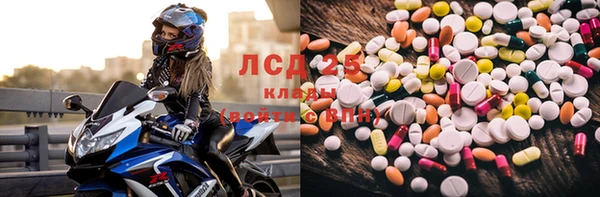 СК Краснослободск