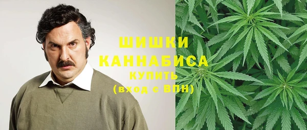винт Костерёво