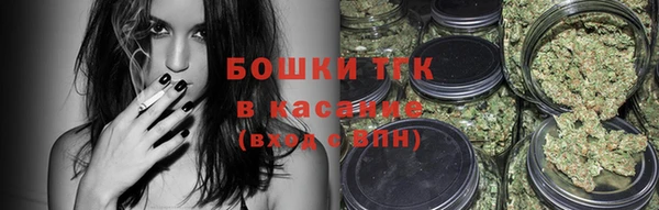 винт Костерёво