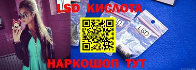 стаф Камышлов