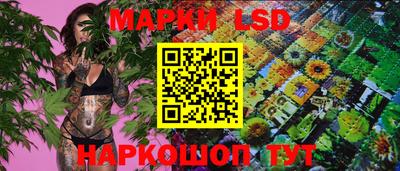 стаф Камышлов