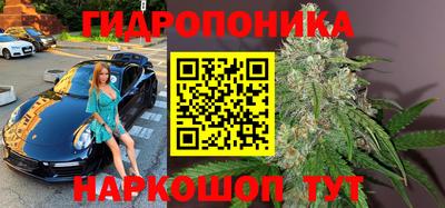 стаф Камышлов