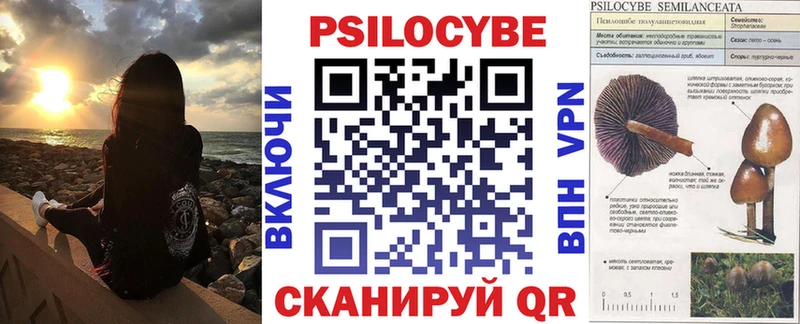 цена Самара Псилоцибиновые грибы Psilocybe