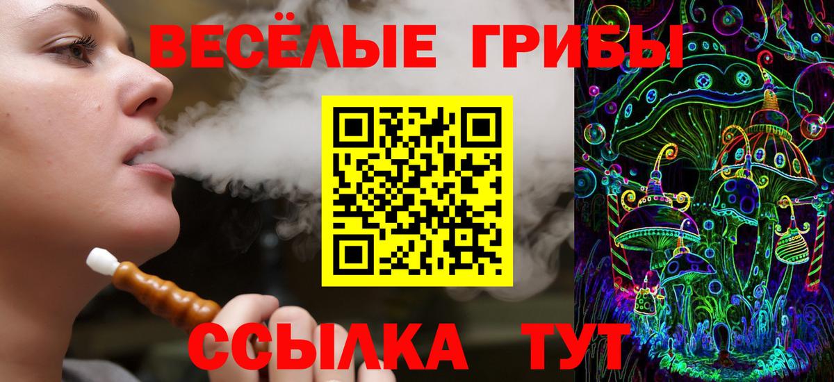 Самара  Псилоцибиновые грибы мухоморы  Вход с VPN  Галлюциногенные грибы Cubensis 