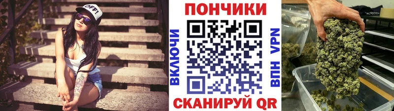 Шишки марихуана сатива  Самара 